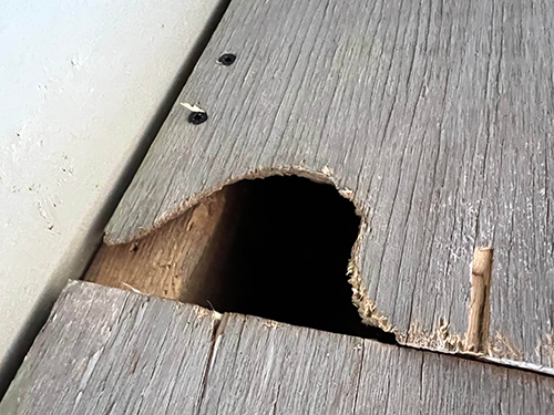 Chew Hole