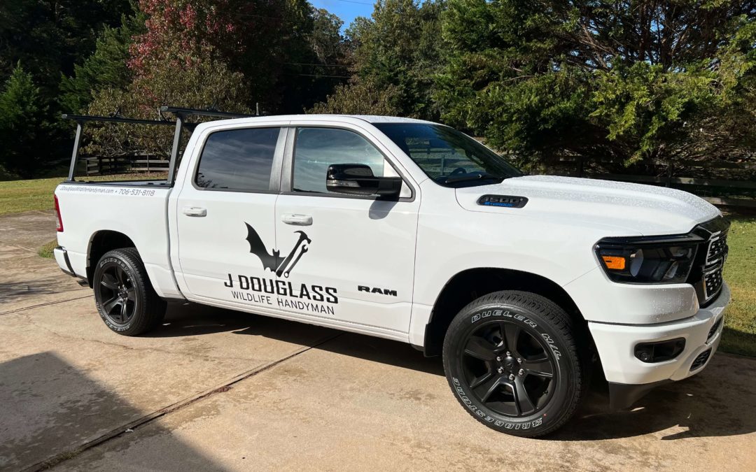 How J Douglass Wildlife Handyman Can Help with Flying Squirrel Invasion in Jasper/Big Canoe