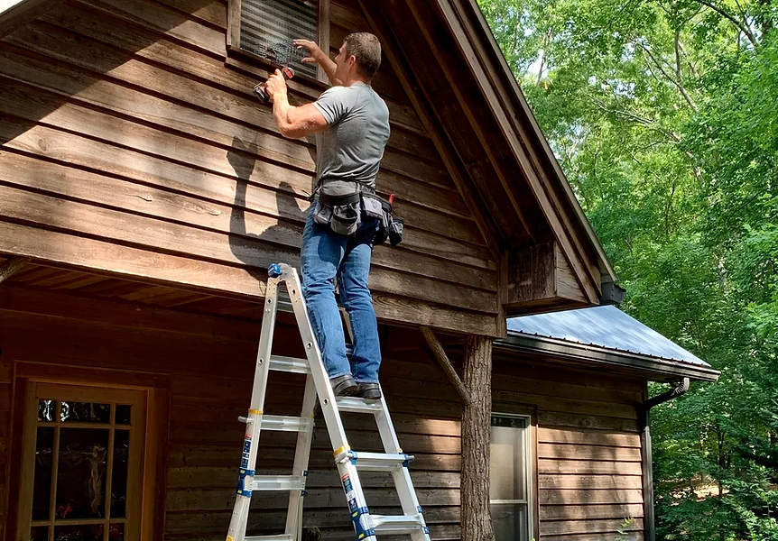 Top 5 Proven Critter Control Services for a Pest-Free Home