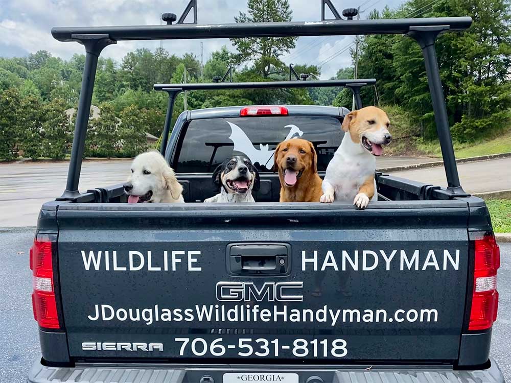 500x375-4-dogs