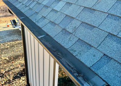 gutter cleaning