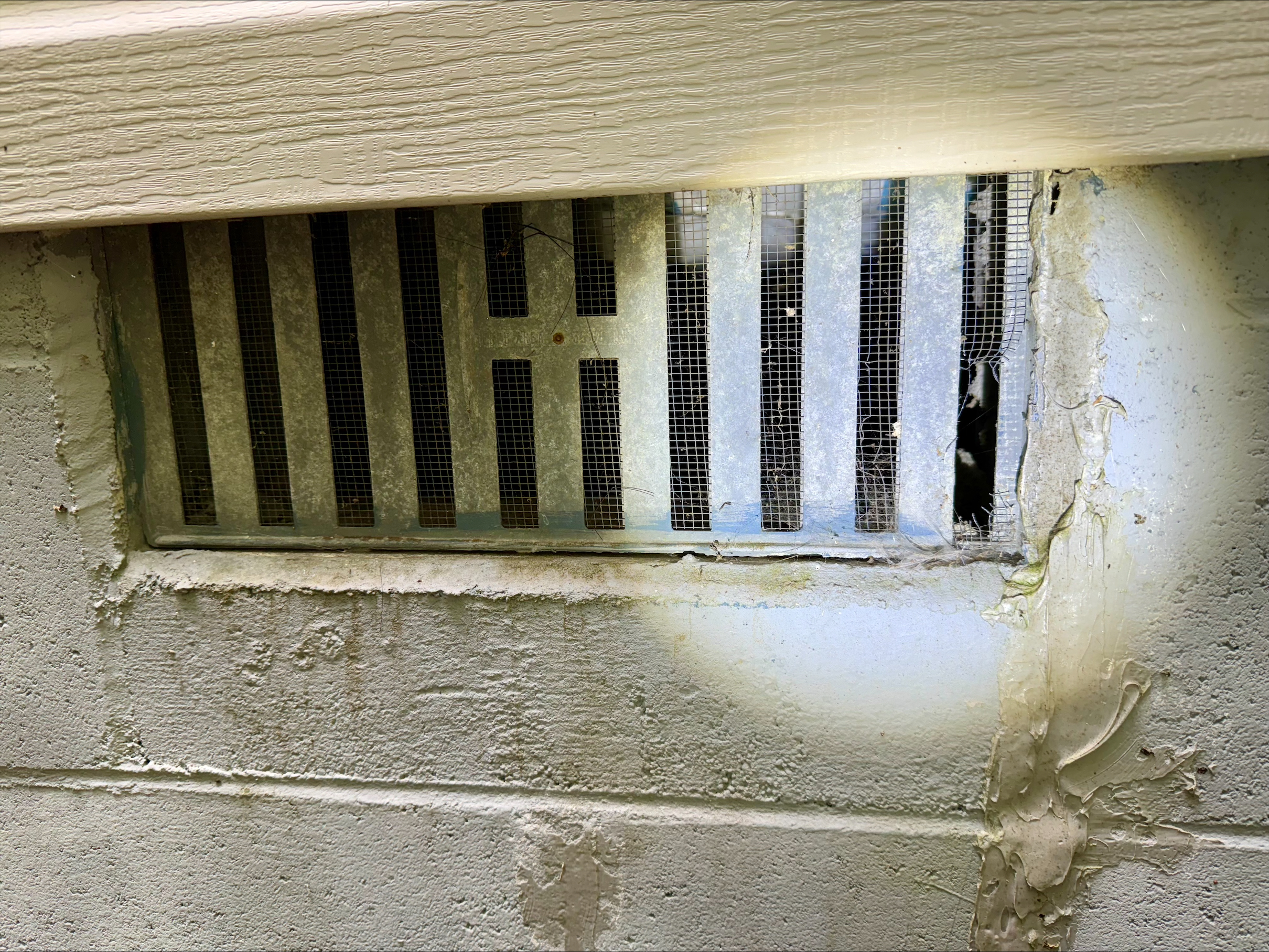 chewed vents by rodents in Murayville