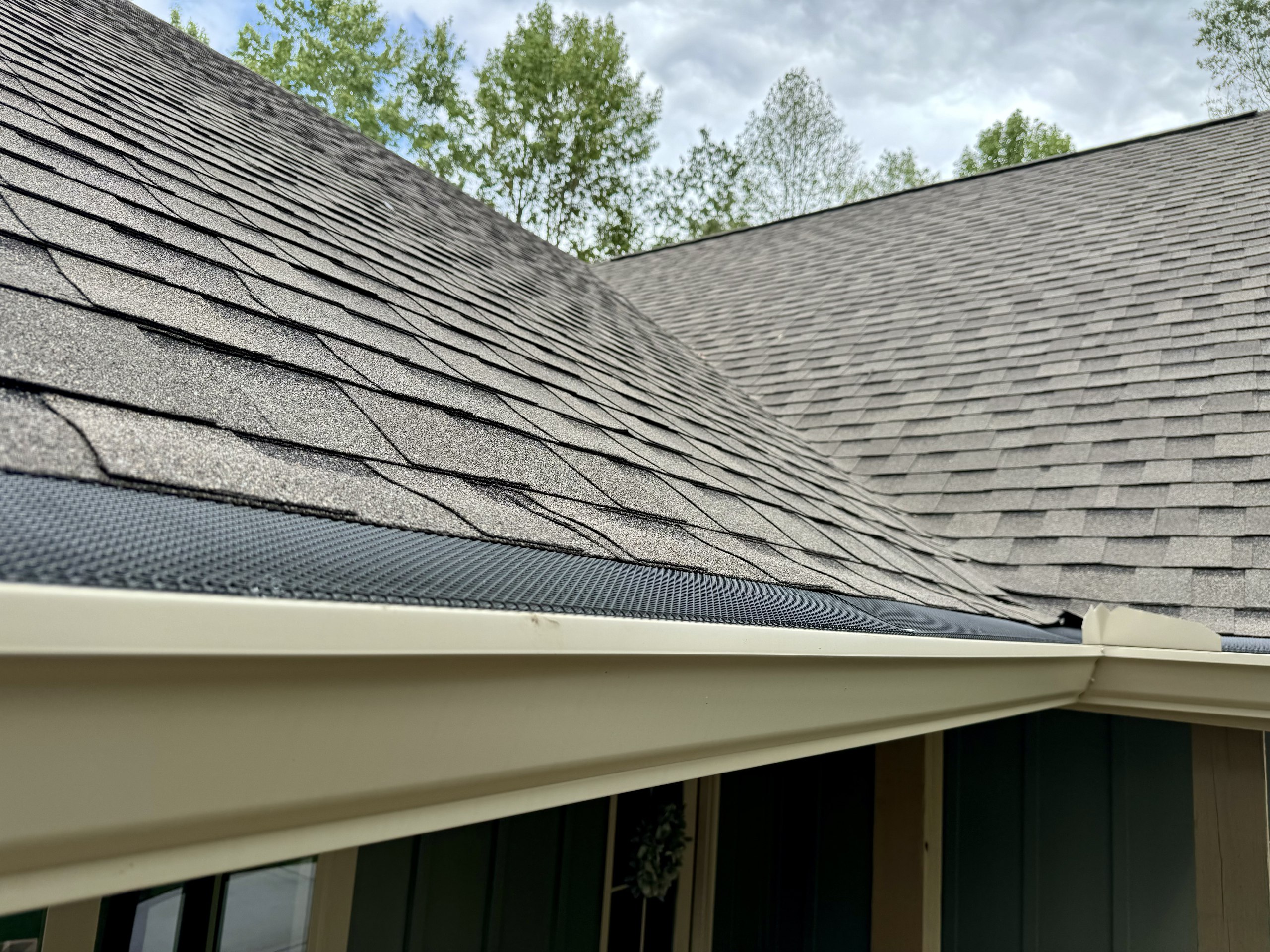 Gutter cleanout and gutter guard installation in Murrayville by J Douglas Wildlife Handyman