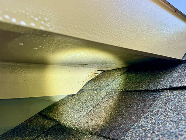 gable vent