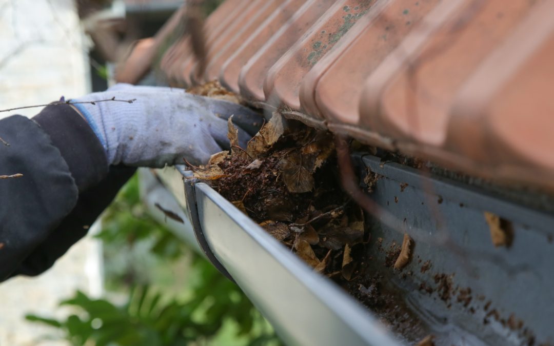 How to Choose the Right Gutter Cleaning Tools: A Buyer’s Guide